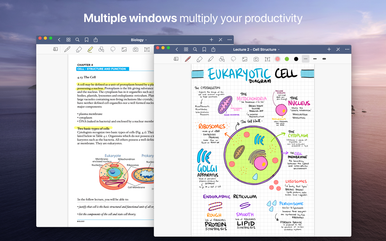 GoodNotes 5 on the App Store | Nursing notes, Natural writing, New ipad pro